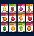 price cards of sketch tropical exotic vector image vector image