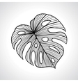 black macro palm leaf isolated vector image vector image