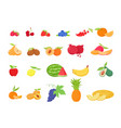 fruit and berries in cartoon style vector image vector image