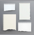 notebook papers with torn edge vector image