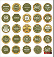 quality gold and green labels vector image