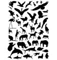 animal set vector image vector image
