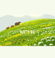 bears in field vector image vector image
