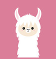 llama alpaca animal face cute cartoon kawaii vector image vector image