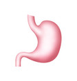 stomach icon gastric human health vector image vector image