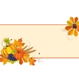 autumn banners with ripe vegetables swirls vector image