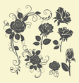 rose tattoo vector image