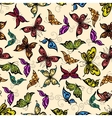 flying tropical butterflies seamless pattern vector image