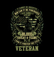 veteran - american blood sweat and tears vector image