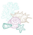 background with seashells vector image