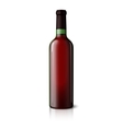 blank green realistic bottle for red wine isolated vector image