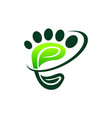 foot massage herbal vector image
