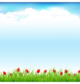 green landscape with grass and red tulip vector image
