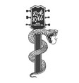 snake on guitar head design element for poster vector image vector image