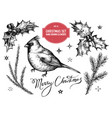collection of hand drawn black and white vector image