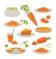 carrot products sliced natural healthy orange vector image vector image