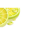 close-up of a lemon slice with drops vector image