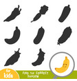 find the correct shadow game for children banana vector image