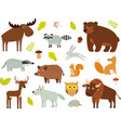 set of woodland animals vector image