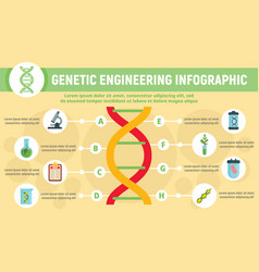 Genetic engineering infographic flat style Vector Image
