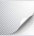 paper page with curled corner and shadow template vector image
