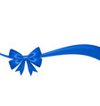 ribbon bow for gift isolated white background vector image