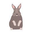 cute bunny or rabbit isolated on white background vector image vector image
