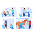 veterinarians examining and treating animals set vector image