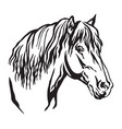 decorative portrait of horse 9 vector image