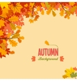 autumn background with leaves vector image vector image
