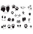 animal trails prints vector image