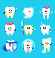 tooth cartoon characters dental hygiene vector image