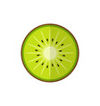 kiwi fruit isolated on white background in flat vector image