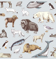 hand drawn seamless pattern with arctic animals vector image vector image