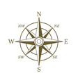 compass icon in sepia color wind rose vector image