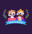 dia de muertos cartoon couple vector image