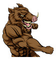 boar sports mascot fighting vector image vector image