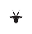 goat head logo template vector image