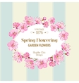 cherry blossom background vector image