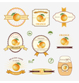 orange set of label design and templates vector image