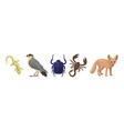 desert living creatures and wild animal set vector image