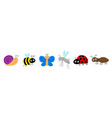 ant mosquito butterfly snail cochlea bee vector image vector image
