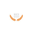 premium rice great quality design concept vector image