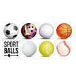 sport balls set isolated vector image