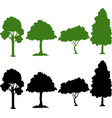 set of silhouette plant vector image