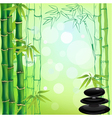 zen background vector image