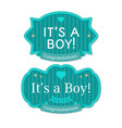 babyborn boy badge or label vector image