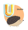 urchin children alphabet vector image vector image