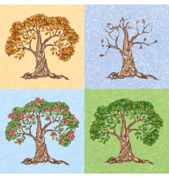 Four seasons tree - spring summer autumn winter Vector Image