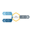business infographic organization chart with 3 vector image